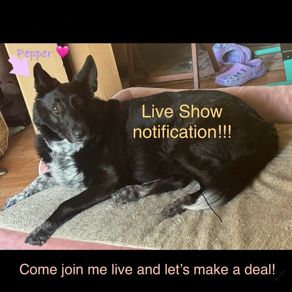 Live show notification!!!